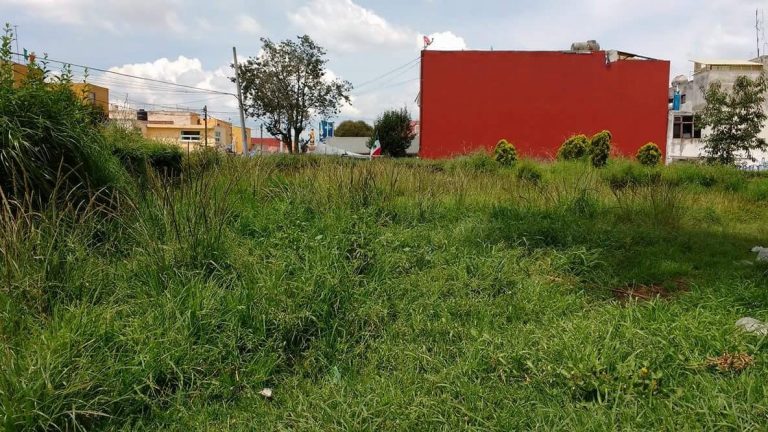 Abandonadas, zonas populares de Metepec