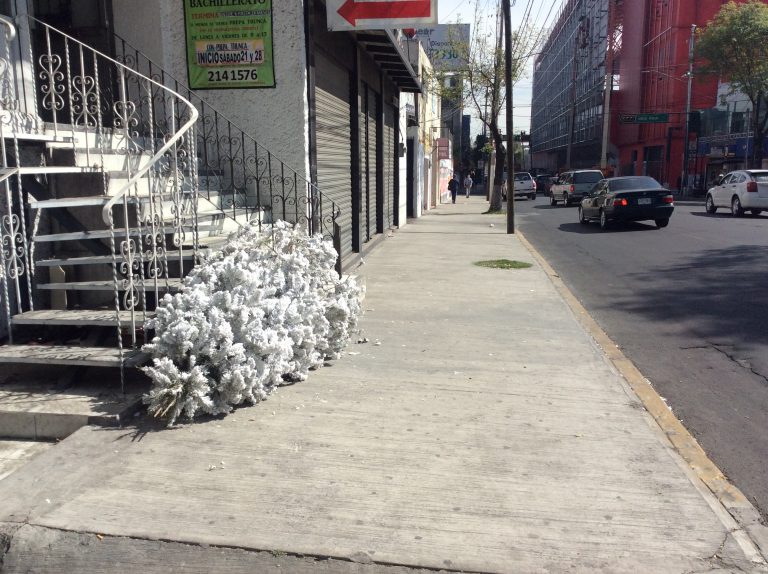 Analiza UAEM problemas de basura en Edoméx