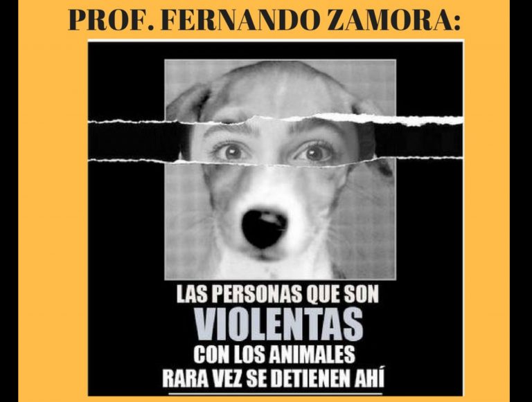 Responde protectora de animales al alcalde de Toluca