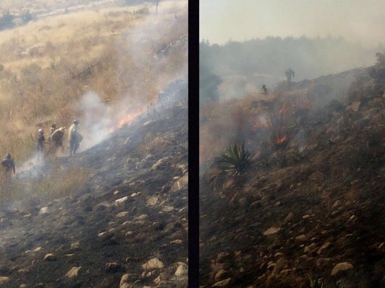 Arrasa fuego con 20 hectáreas de parque en Toluca