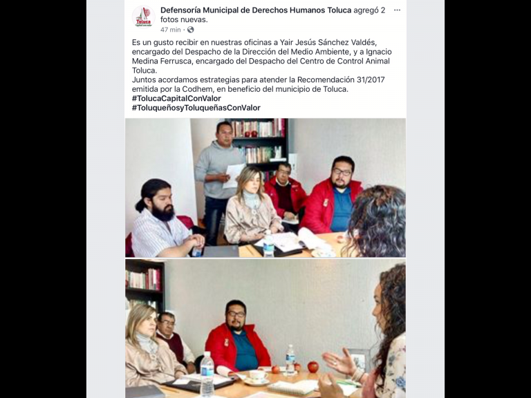 Retoman asunto de jaurías en Toluca