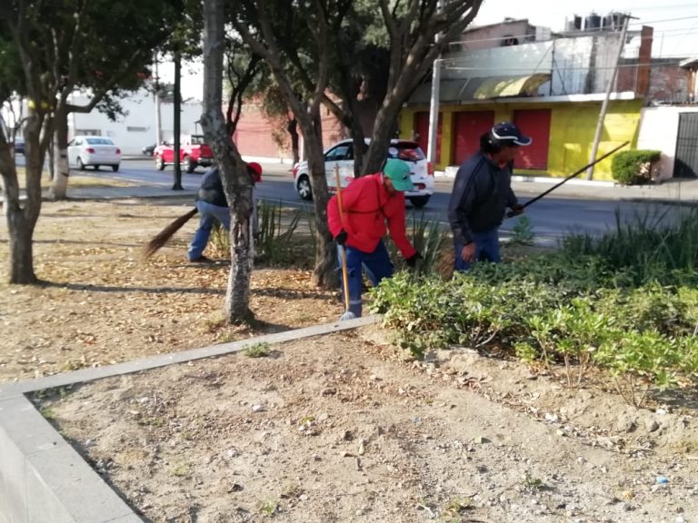 Semana Santa deja más de 140 toneladas de basura en Toluca