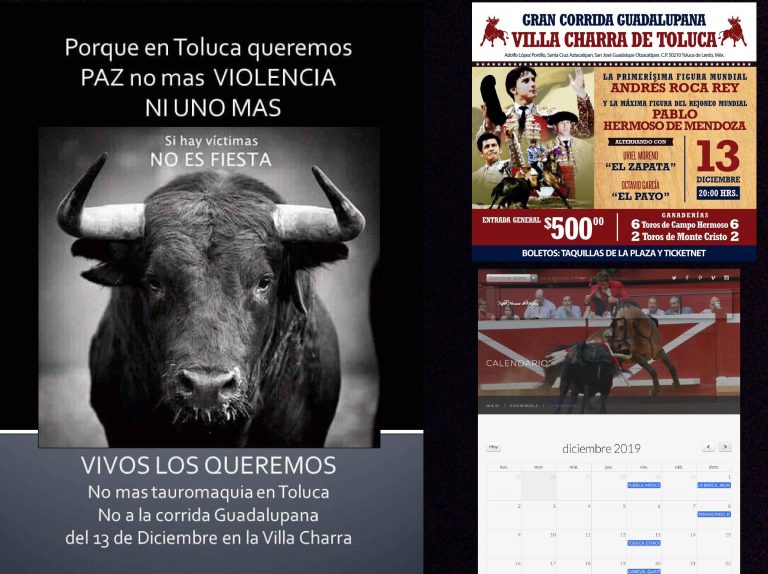 Otra vez, correrá sangre de toro en Villa Charra de Toluca