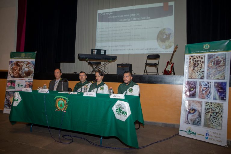 Crece presencia del oso en zonas urbanas