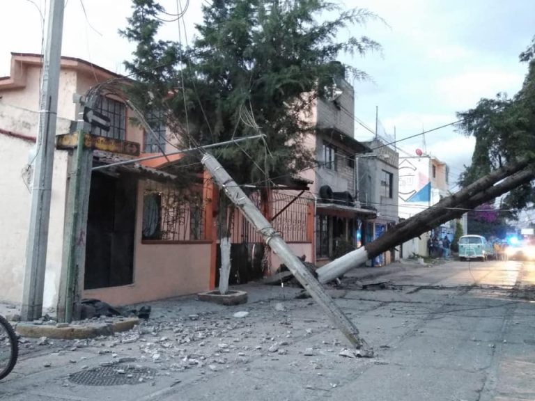 Contabiliza Toluca derribo de 91 árboles por ráfagas