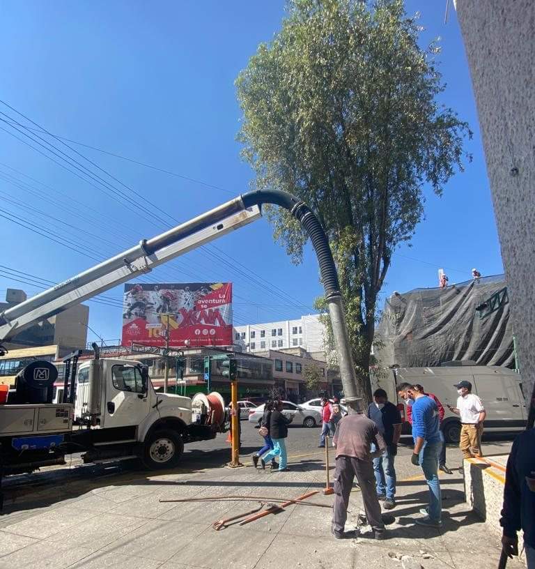 Ayuntamiento de Toluca solapó sacrificio de árbol en Centro Tolzú