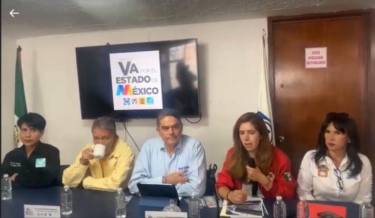 «La libraron», diputadas no ejercieron violencia política contra Delfina: TEEM