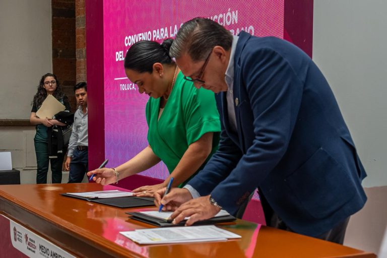 Tendrá Toluca primer Atlas Digital de Arbolado Urbano