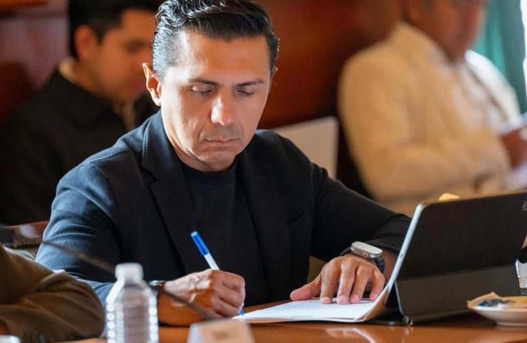 Techos verdes, necesarios en construcciones o ampliaciones en Toluca