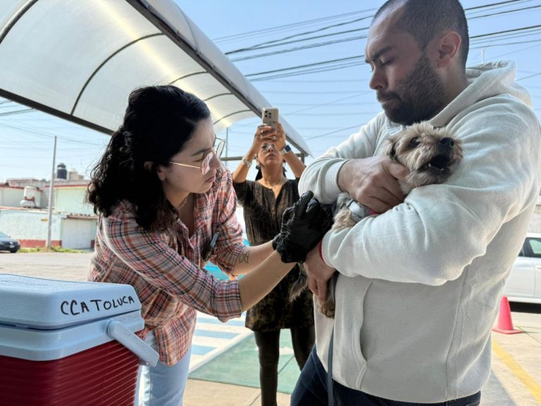 Celebra Toluca la esterilización número 10 mil de lomitos y michis