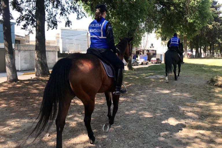No dar carpetazo a deceso de caballos en Toluca