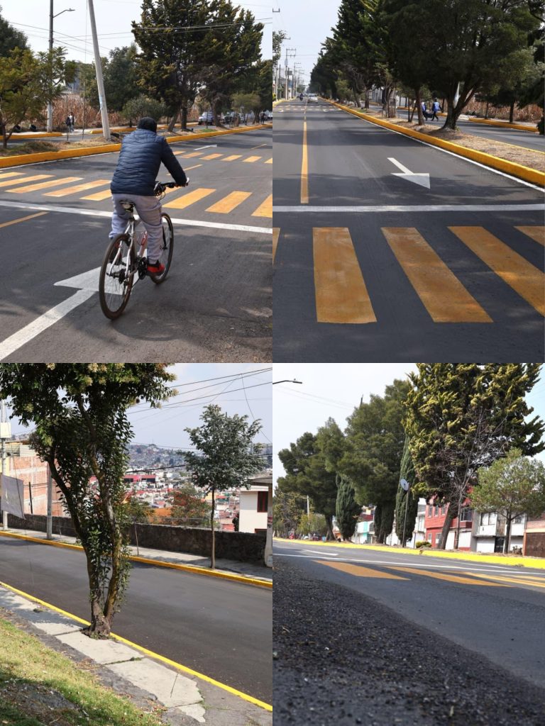 Avanza Toluca en integración del Atlas Digital de Arbolado Urbano: Ricardo Moreno