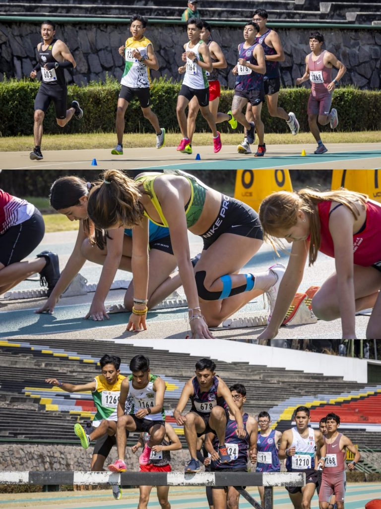 Avanzan 28 atletas de UAEMéx con rumbo a la Olimpiada Nacional 2026