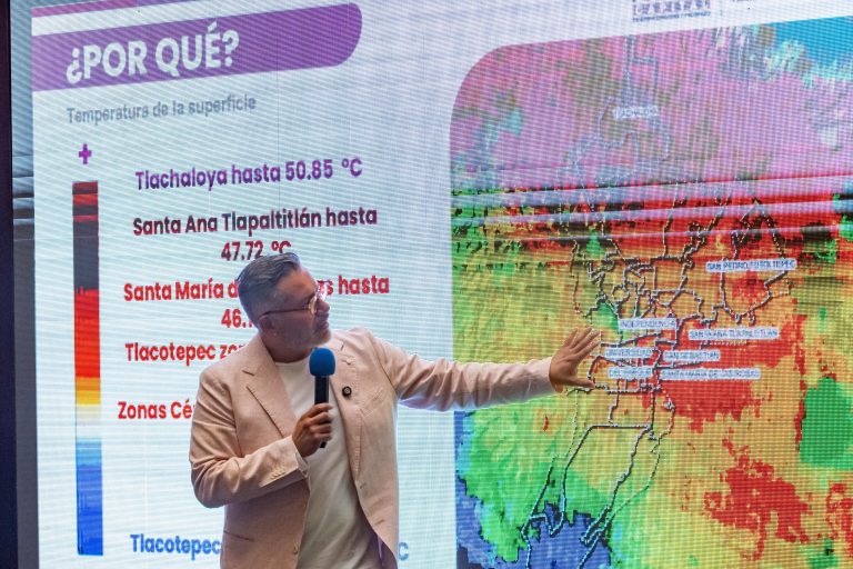 Anuncia Toluca restauración de arbolado urbano, plantaran más de 30 mil árboles nativos